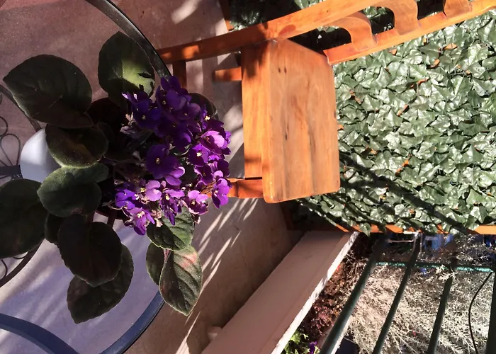 Shelisa B&B Roma